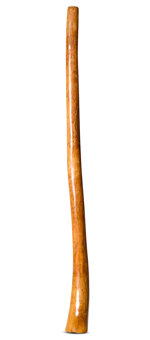 Gloss Finish Flared Didgeridoo (TW1067)